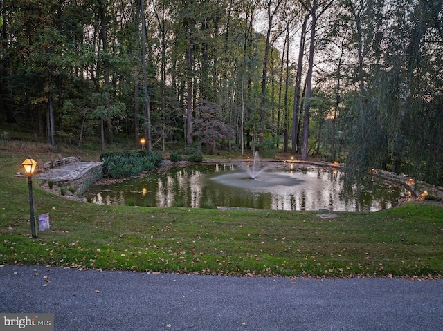 surrounding community with a water view and a lawn