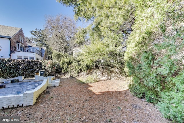 view of yard featuring a patio