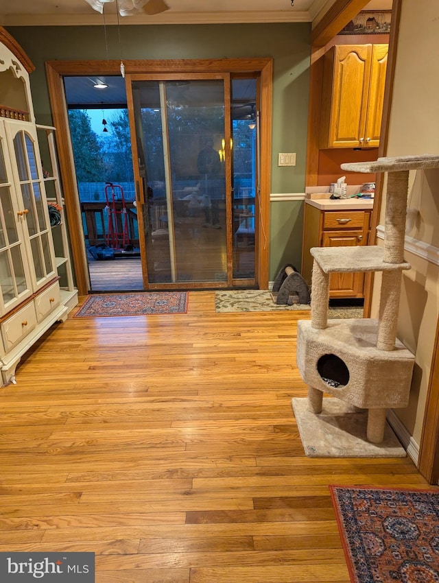 dining space with light wood-type flooring, crown molding, and a ceiling fan