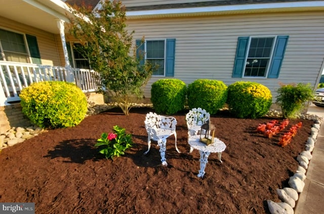 view of yard featuring a porch