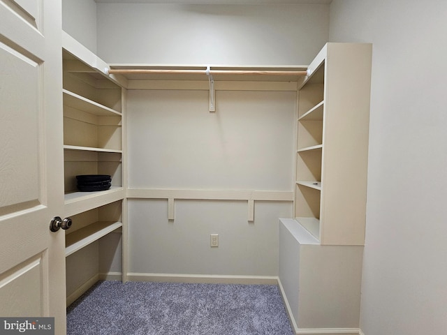 walk in closet with carpet