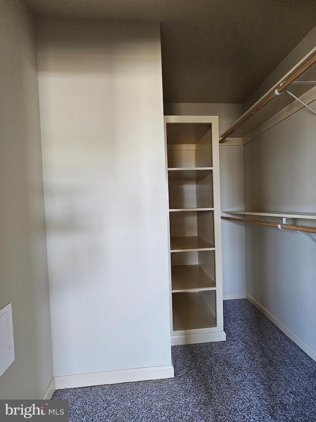 spacious closet with dark carpet