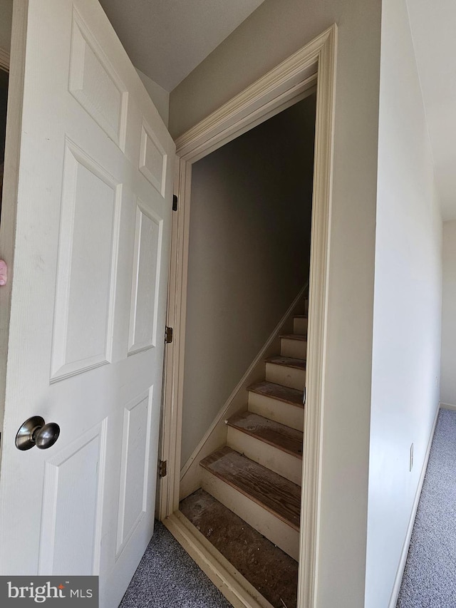 stairway with carpet