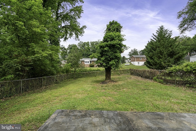 view of yard featuring a fenced backyard