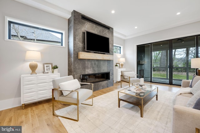 living room with light hardwood / wood-style flooring, a wealth of natural light, and a fireplace