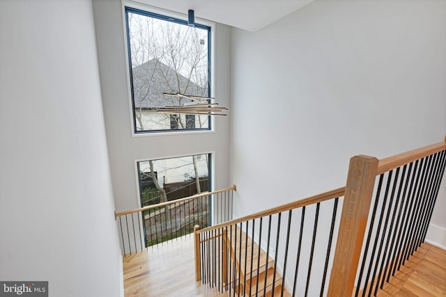 stairs with a wealth of natural light and hardwood / wood-style floors