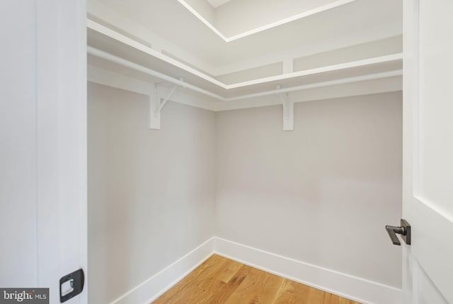 walk in closet with wood-type flooring