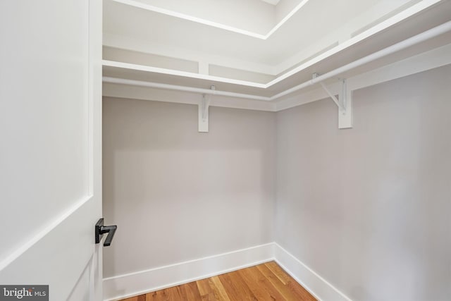 walk in closet featuring hardwood / wood-style flooring