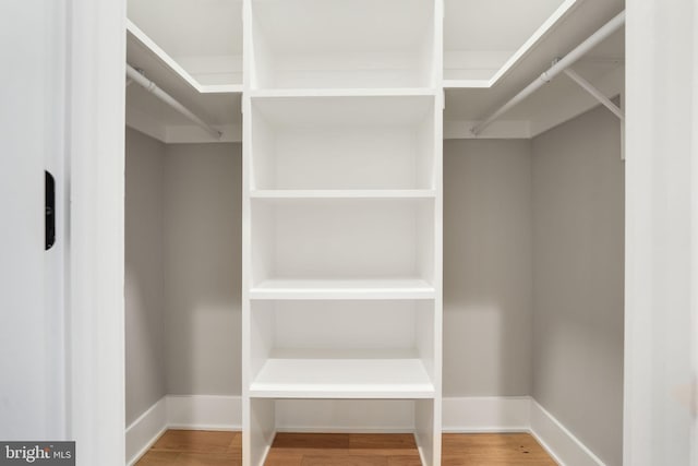 walk in closet with wood-type flooring