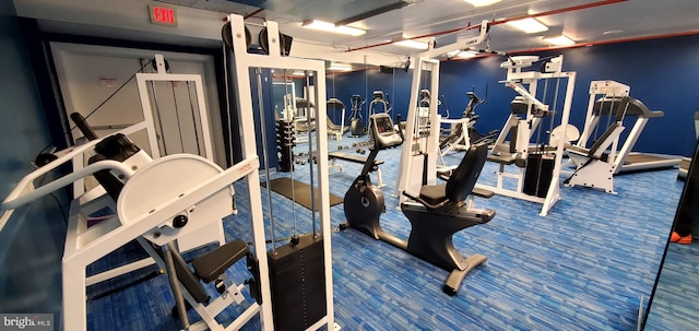 workout area with carpet floors