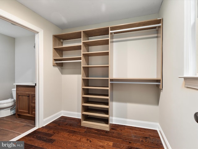 walk in closet with dark hardwood / wood-style flooring