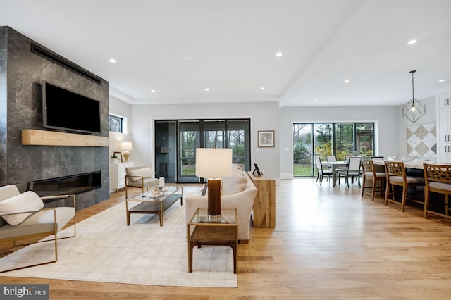 living room with light wood-type flooring and a fireplace