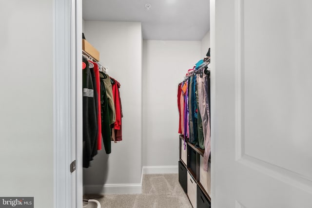 spacious closet with light colored carpet