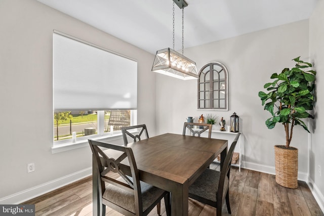 dining room featuring a notable chandelier and dark wood-type flooring