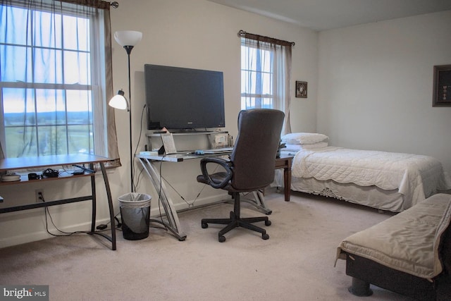 view of carpeted bedroom