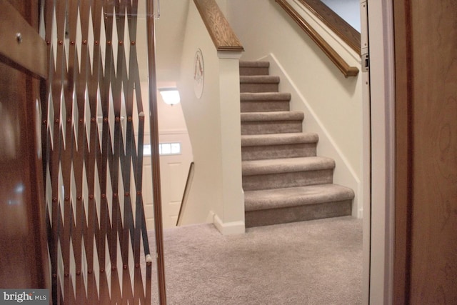 stairway with carpet floors