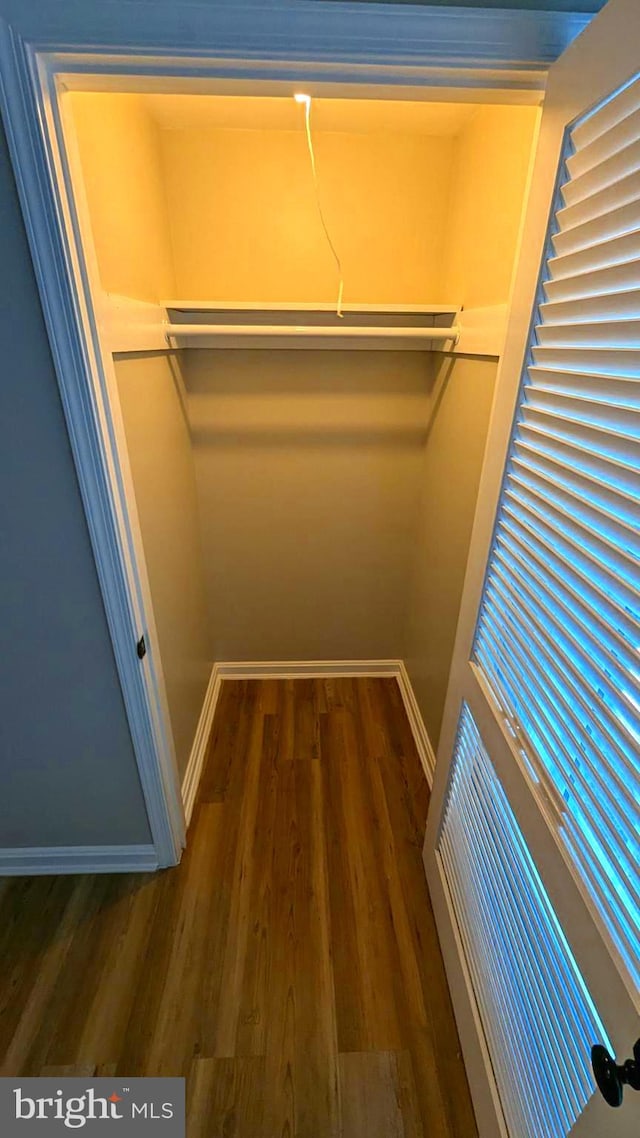 spacious closet with dark wood-type flooring