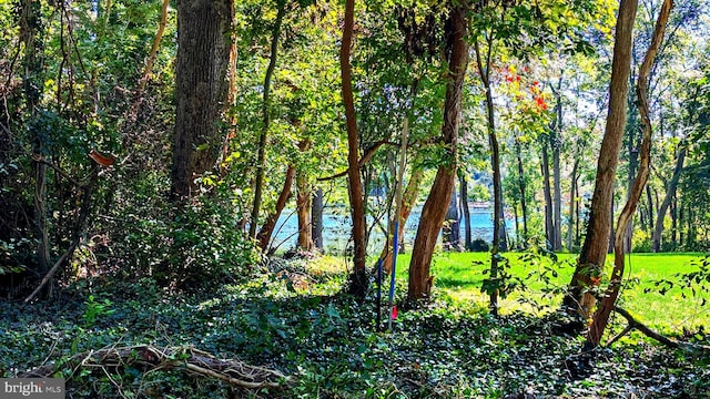 view of local wilderness featuring a water view