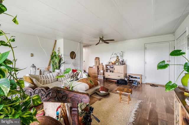 living room featuring hardwood / wood-style floors and ceiling fan