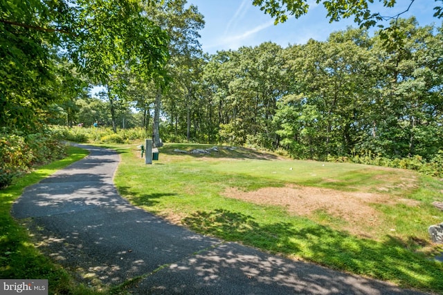 view of property's community featuring a lawn