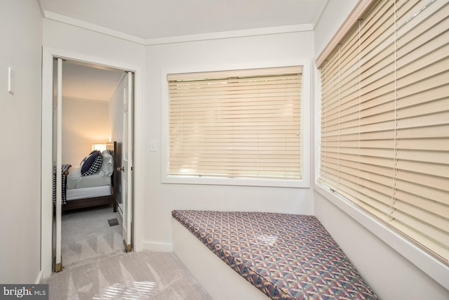 interior space featuring crown molding