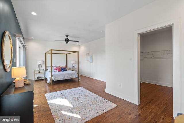 bedroom featuring a walk in closet, a closet, dark wood-type flooring, and ceiling fan