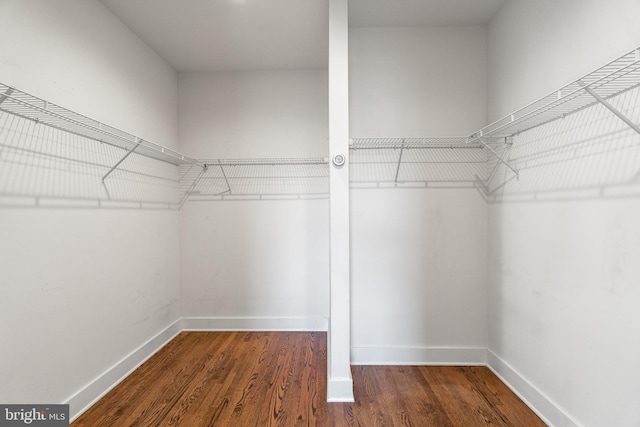 walk in closet with dark hardwood / wood-style floors