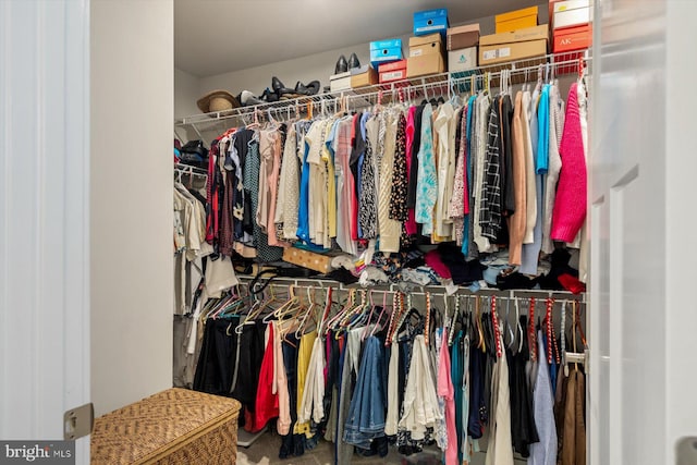 view of walk in closet