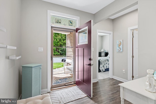 entryway featuring dark wood-type flooring