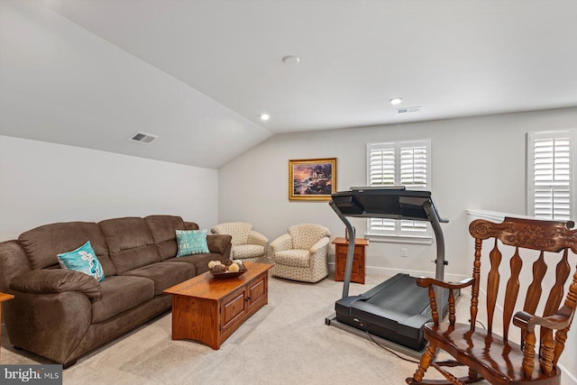 carpeted living room featuring lofted ceiling and a healthy amount of sunlight