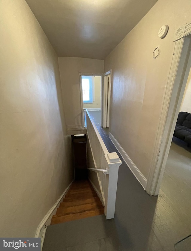 stairway featuring hardwood / wood-style floors