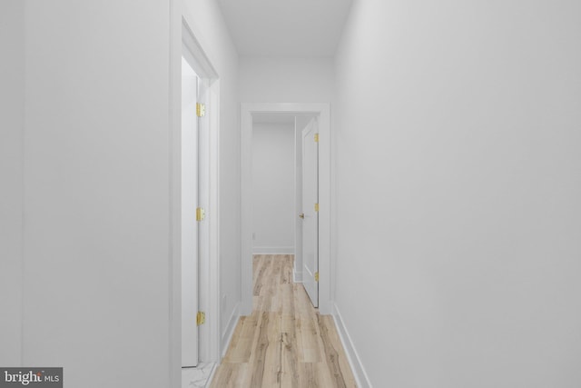 corridor featuring light hardwood / wood-style floors