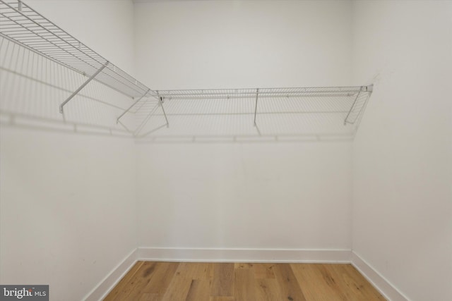 spacious closet featuring hardwood / wood-style floors