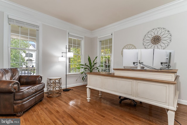 home office featuring hardwood / wood-style flooring, crown molding, and a wealth of natural light