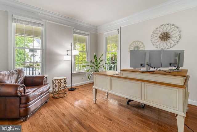 living area featuring wood-type flooring and crown molding