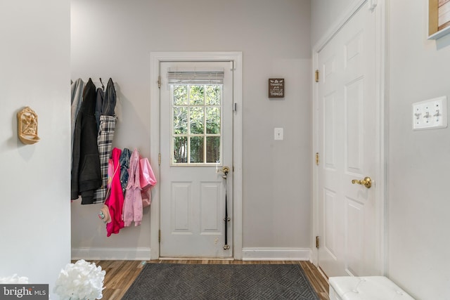 doorway to outside featuring wood-type flooring