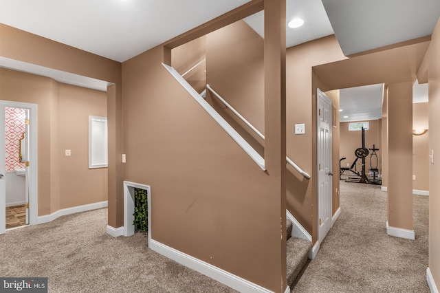 stairs featuring carpet and a healthy amount of sunlight