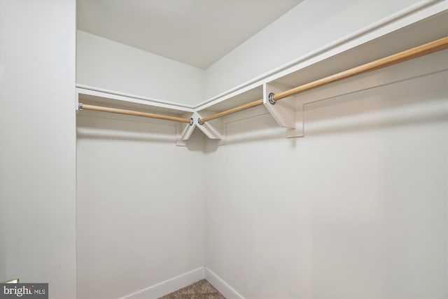 spacious closet with carpet