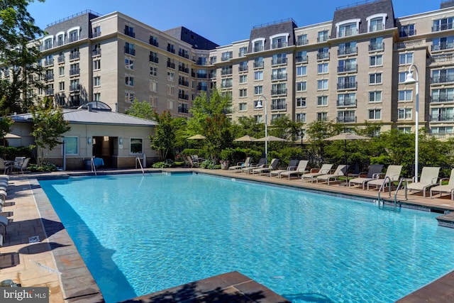 view of swimming pool featuring a patio area