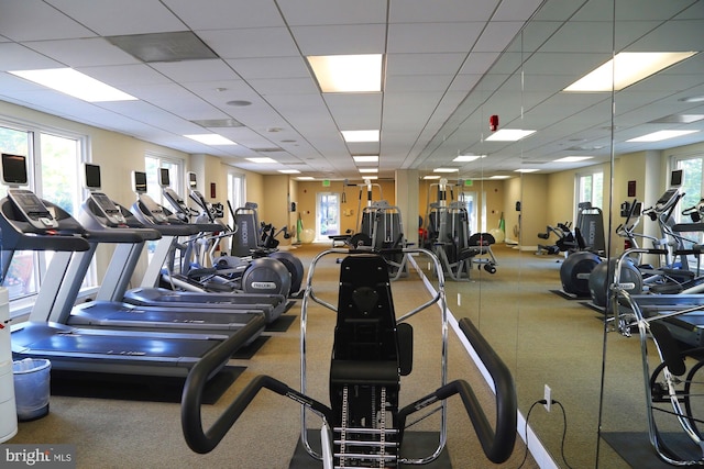 workout area featuring a drop ceiling