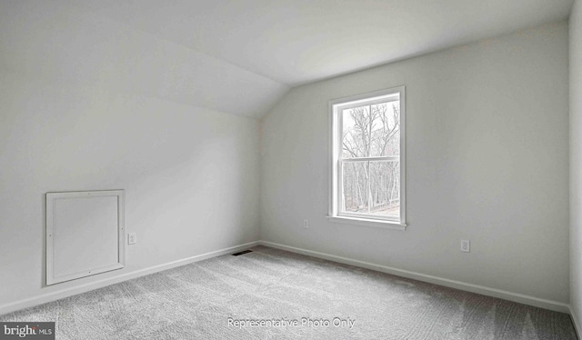 additional living space featuring carpet floors and vaulted ceiling