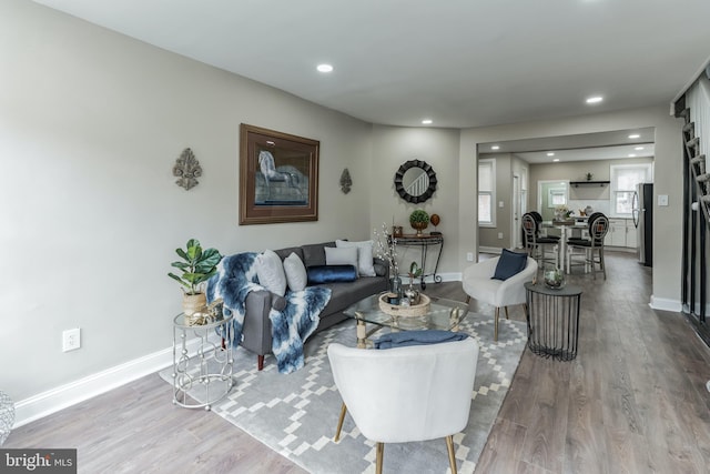 living room featuring hardwood / wood-style flooring