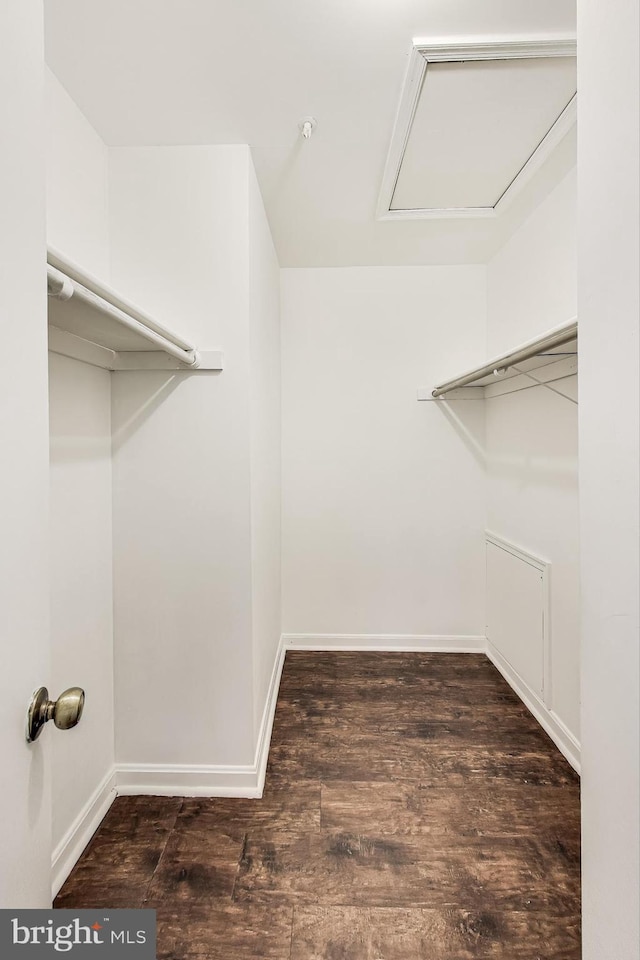 spacious closet featuring dark wood-type flooring