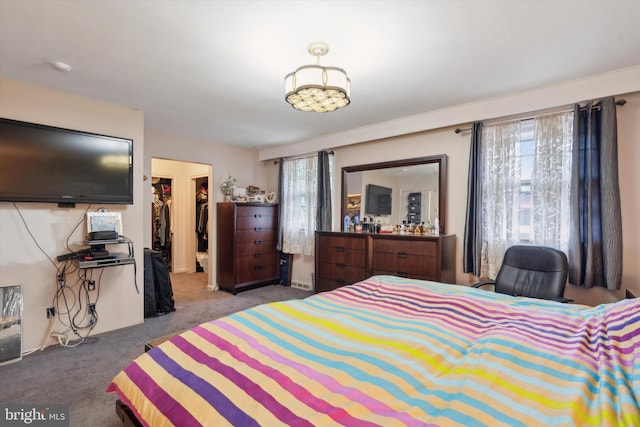 carpeted bedroom with multiple windows and a spacious closet