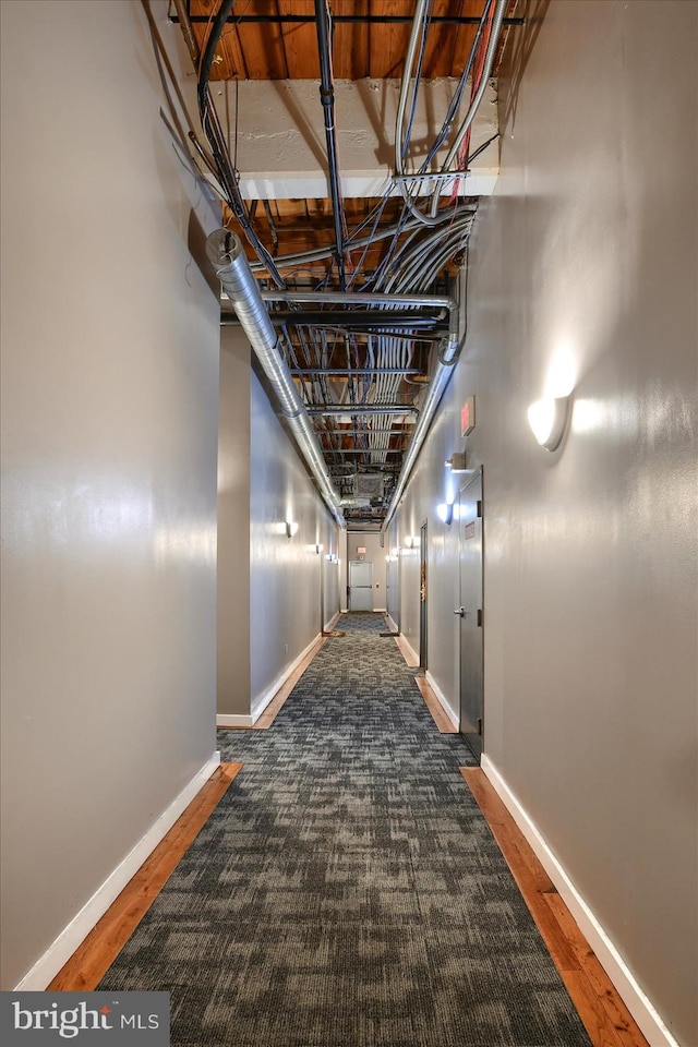 corridor featuring dark hardwood / wood-style floors