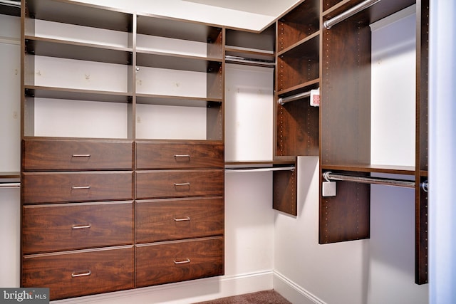 view of spacious closet