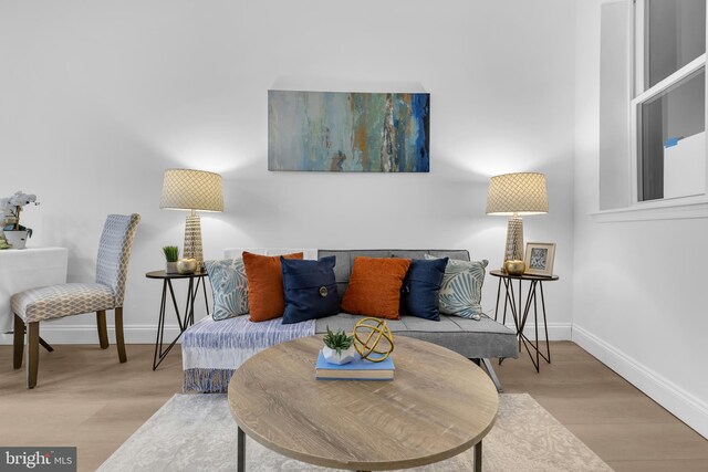 living area with light hardwood / wood-style flooring