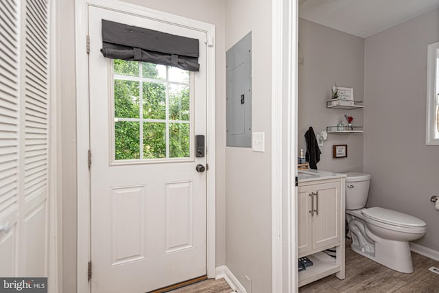 bathroom featuring vanity, electric panel, hardwood / wood-style floors, and toilet