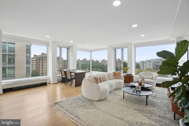 living room with light hardwood / wood-style flooring and a wealth of natural light