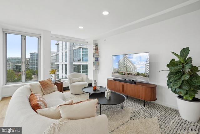 living room featuring light hardwood / wood-style floors